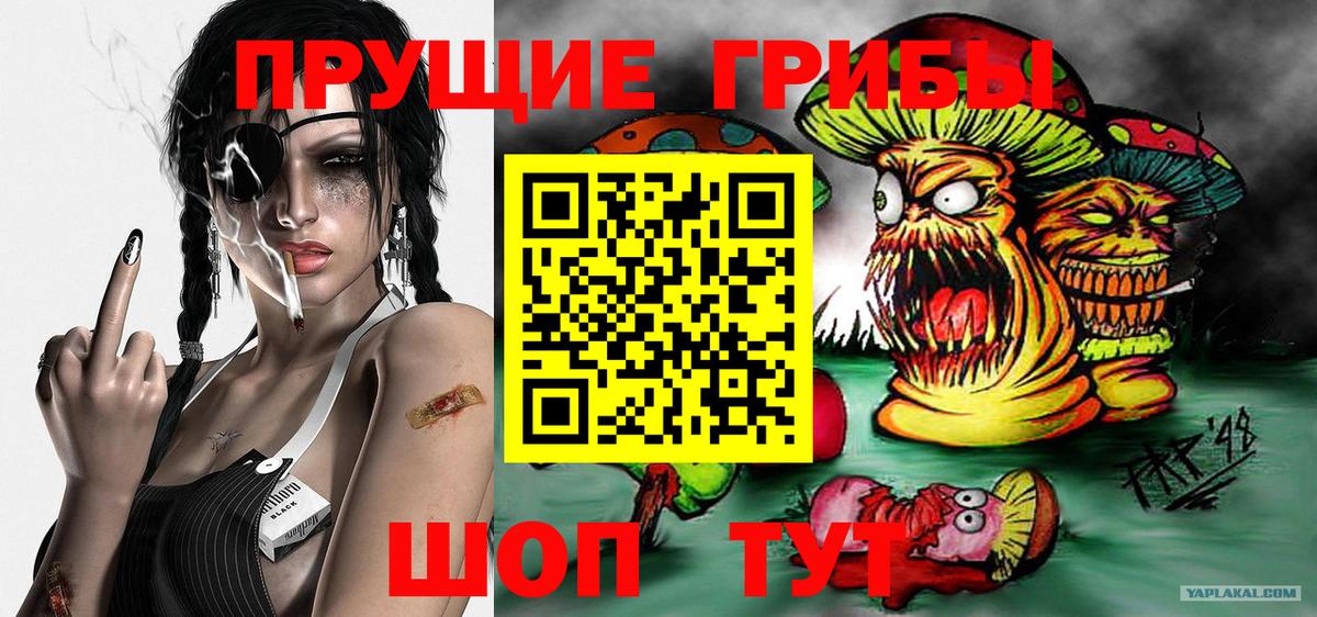 Воскресенск  Галлюциногенные грибы GOLDEN TEACHER  Вход с VPN 