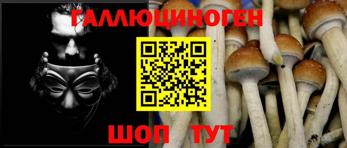 Галлюциногенные грибы Psilocybe Воскресенск